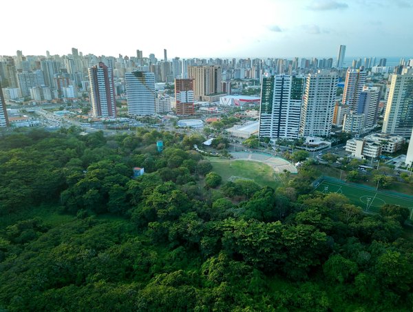 Quel avenir pour le travail dans la société contemporaine ?