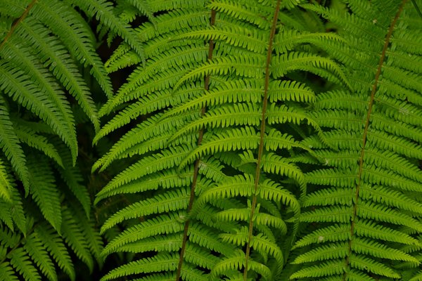 L'importance de la formation continue pour le personnel d'un cabinet médical